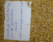 animals feed barley - product's photo