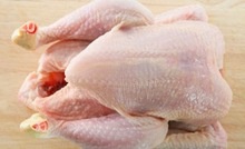 halal whole frozen chicken - product's photo