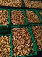 mushroom chanterelle (pfifferling pilz) - product's photo