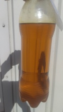 crude degummed soybean oil - product's photo