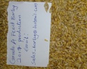 animals feed barley - product's photo