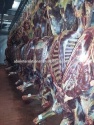 carcass of horse meat - product's photo