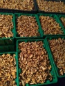 mushroom chanterelle (pfifferling pilz) - product's photo