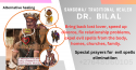 love spells +27648060105  sangoma/ traditional healer in roodepoort, c - product's photo