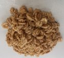 pistachio nuts, cashew nuts, almond nuts, walnuts wholesale - product's photo