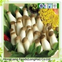 king oyster mushroom - product's photo
