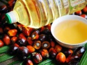 refined palm oil - product's photo