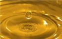 refined sunflower oil - product's photo