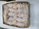 whole frozen hen - product's photo