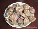 flower mushroom - product's photo