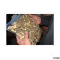 morchella esculenta mushroom dried - product's photo