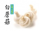 high quality champignon mushroom - product's photo