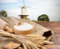 wheat flour - product's photo