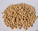 yellow peas - product's photo
