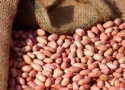 roastingbuckwheat masoo food of china - product's photo