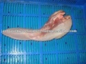 buffalo meat tongue - product's photo