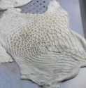 frozen beef honeycomb, frozen cow stomach, honeycomb - product's photo