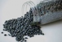 small black kidney bean - product's photo