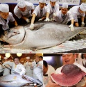 the asean countries are increasing imports of tuna - news on Buy-foods.com