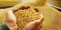in january 2017 the key exporters of soybean oil have reduced shipments - news on Buy-foods.com