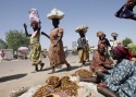 export and import of food products - news on Buy-foods.com
