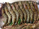 vietnamese shrimp exports slowed at the beginning of the year - news on Buy-foods.com